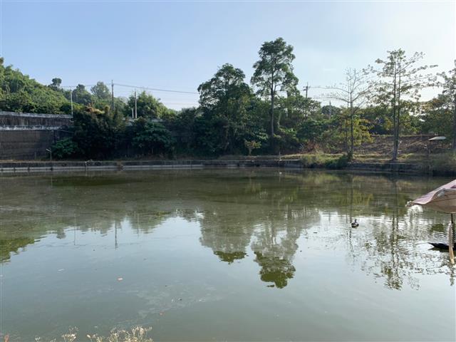高雄租屋 - 南瀛天文台#走馬瀨#大內休閒農場#土雞城